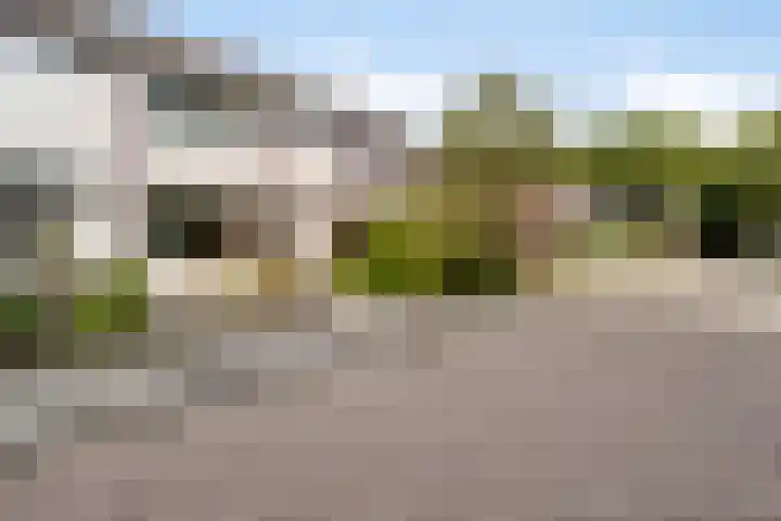 Robbesant 16 Emmeloord thumbnail 33