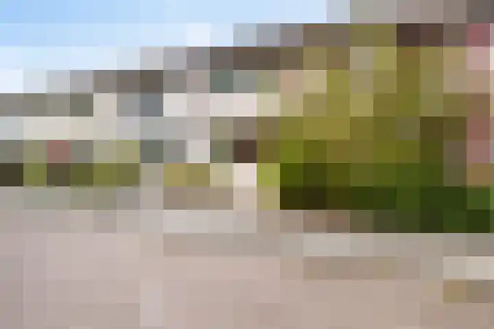 Robbesant 16 Emmeloord thumbnail 34