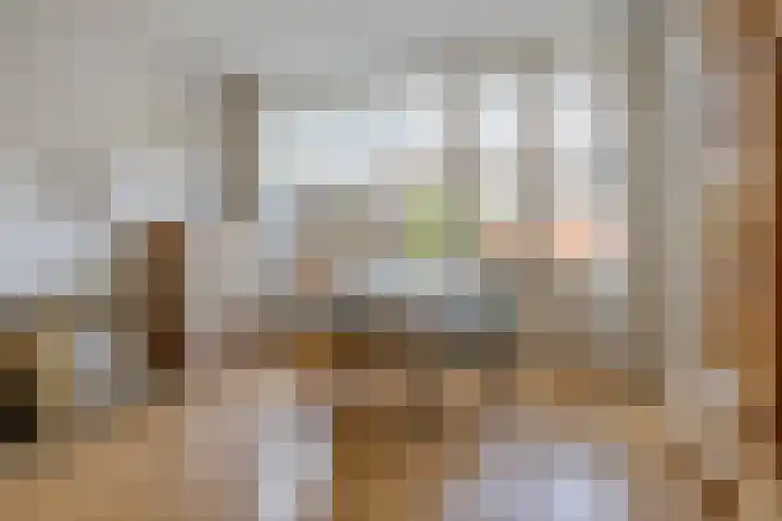 Robbesant 16 Emmeloord thumbnail 9
