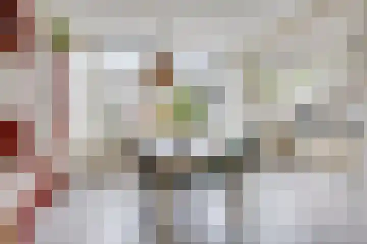 Robbesant 20 Emmeloord thumbnail 12