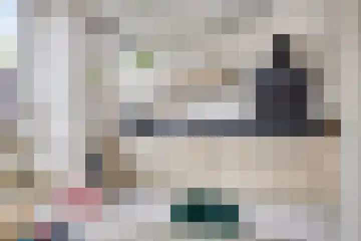 Robbesant 20 Emmeloord thumbnail 13