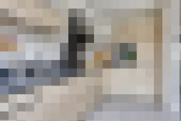 Robbesant 20 Emmeloord thumbnail 15