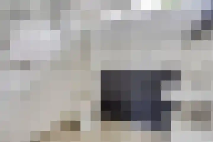Robbesant 20 Emmeloord thumbnail 19