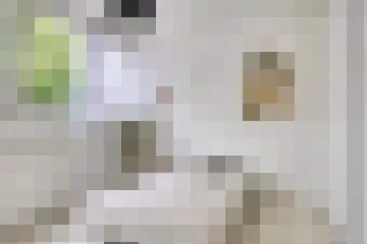 Robbesant 20 Emmeloord thumbnail 21