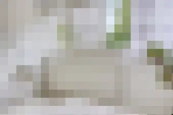 Robbesant 20 Emmeloord thumbnail 22