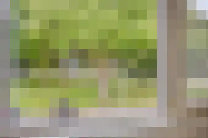 Robbesant 20 Emmeloord thumbnail 23