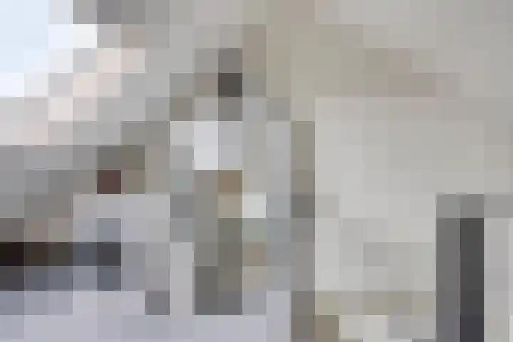 Robbesant 20 Emmeloord thumbnail 24