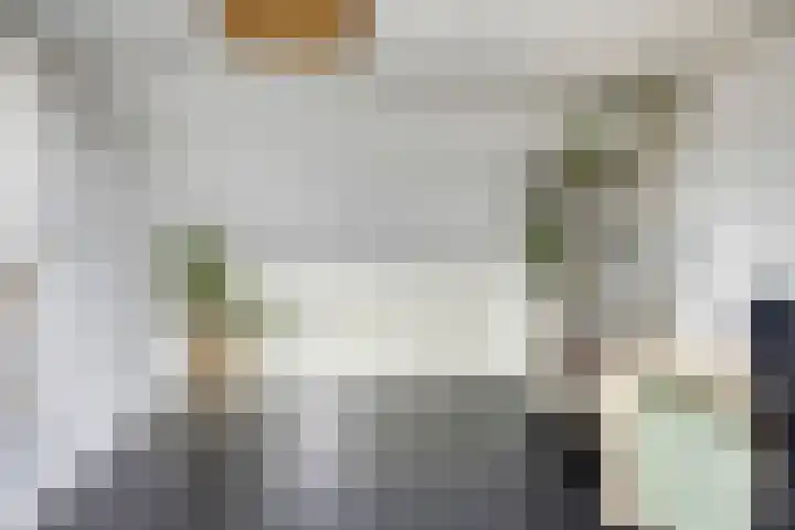 Robbesant 20 Emmeloord thumbnail 26