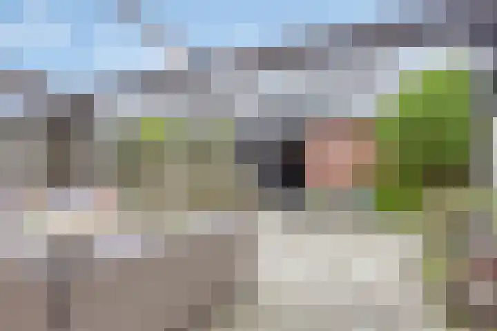Robbesant 20 Emmeloord thumbnail 27