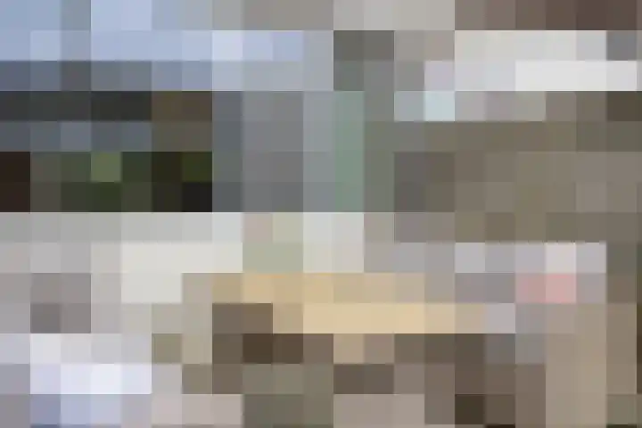 Robbesant 20 Emmeloord thumbnail 28