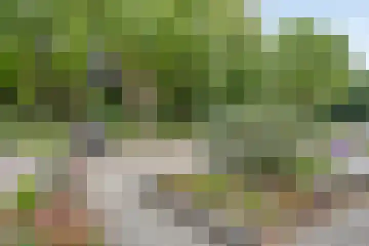 Robbesant 20 Emmeloord thumbnail 31