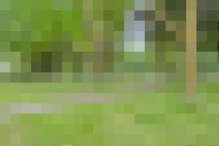 Robbesant 20 Emmeloord thumbnail 32
