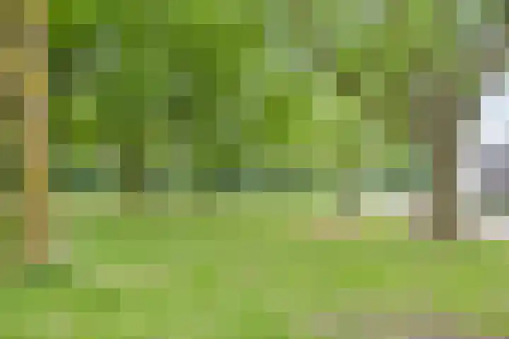 Robbesant 20 Emmeloord thumbnail 33