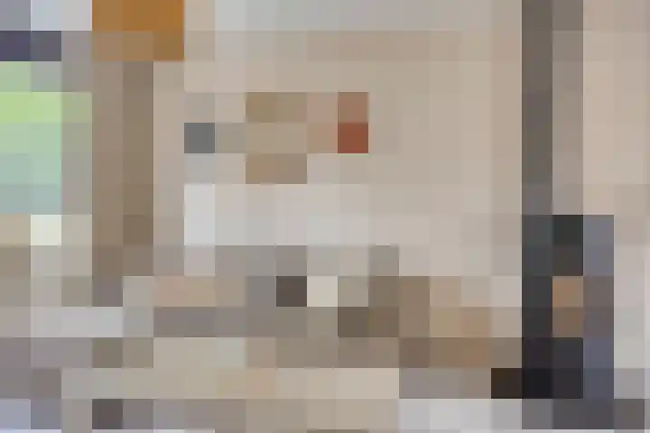 Robbesant 20 Emmeloord thumbnail 8