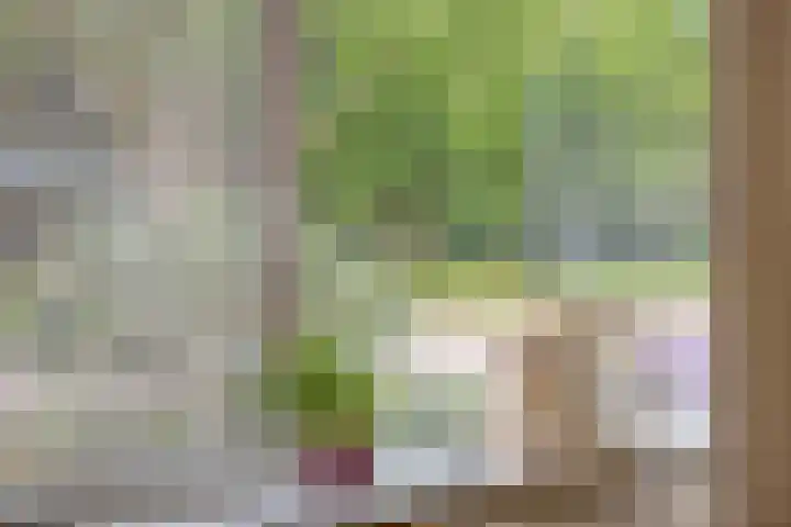 Robbesant 20 Emmeloord thumbnail 9