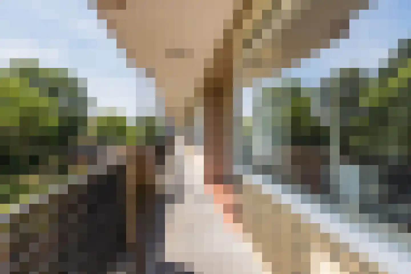 Robert Baeldestraat 111 Rotterdam thumbnail 10