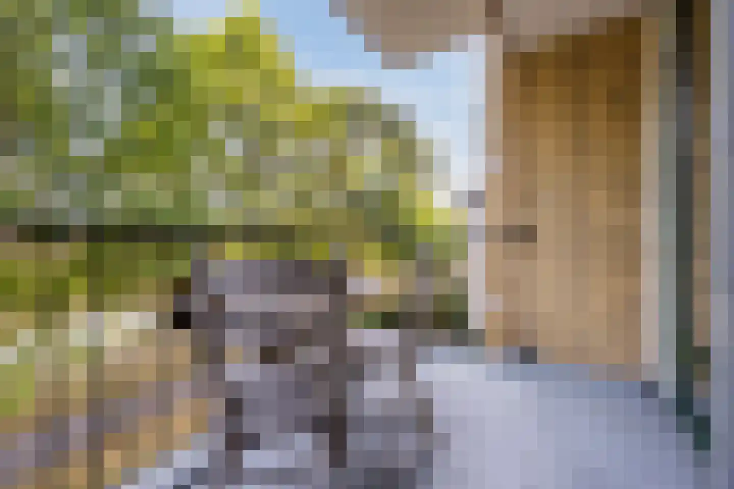 Robert Baeldestraat 111 Rotterdam thumbnail 5
