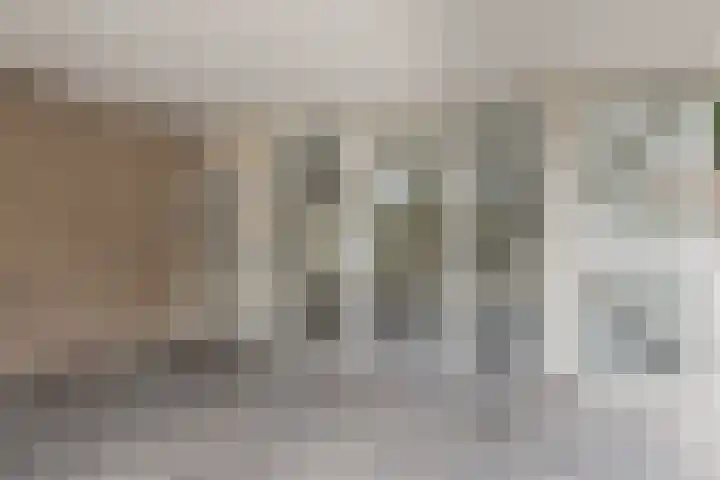 Robert Baeldestraat 113 Rotterdam thumbnail 10