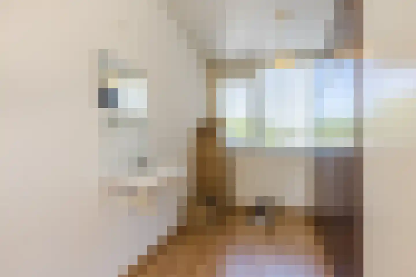 Robert Baeldestraat 23 Goirle thumbnail 24