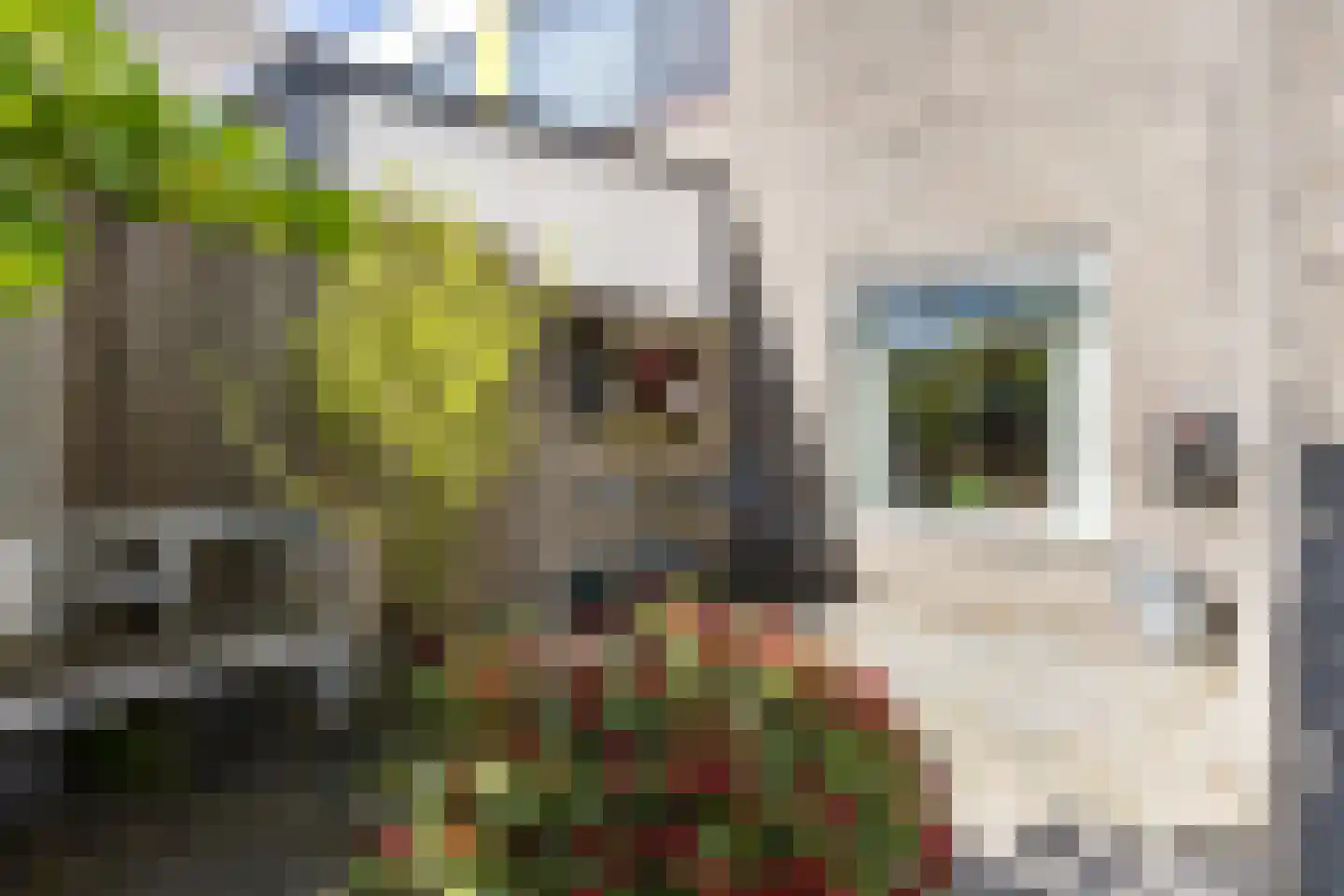 Robert Baeldestraat 23 Goirle thumbnail 28