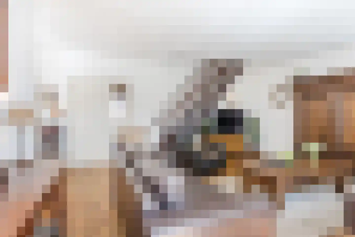Robert Baeldestraat 23 Goirle thumbnail 5