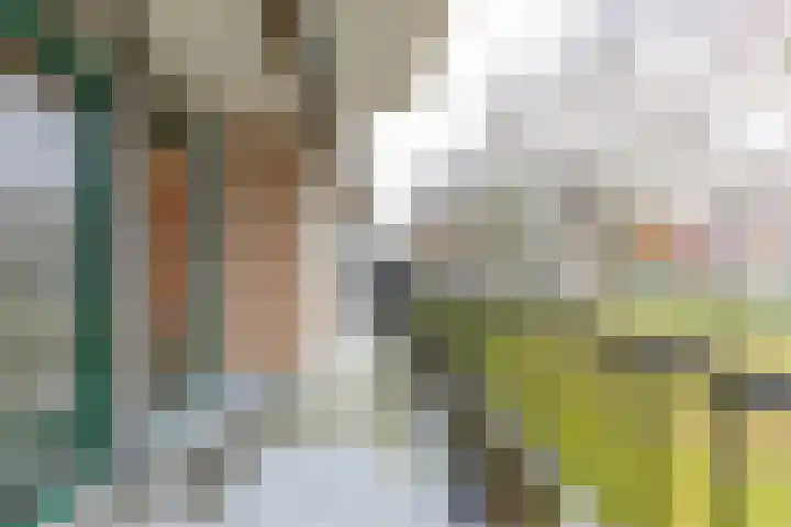 Robert Baeldestraat 93 Rotterdam thumbnail 4