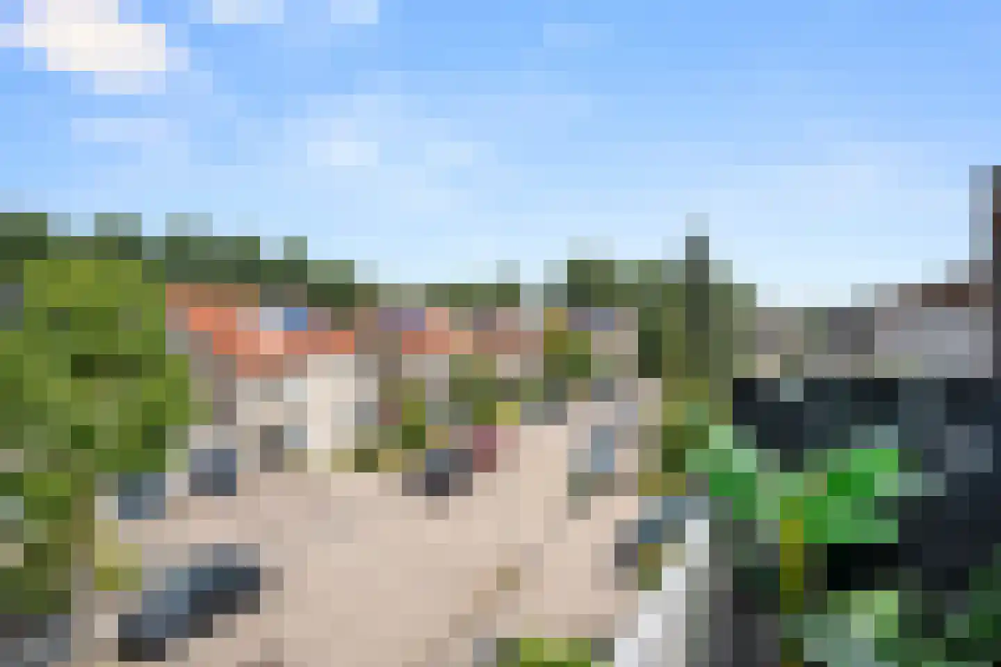 Robert de Vriesstraat 20 Arnhem thumbnail 28