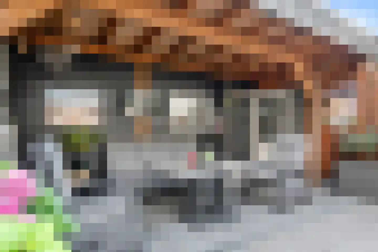 Robert de Vriesstraat 20 Arnhem thumbnail 30