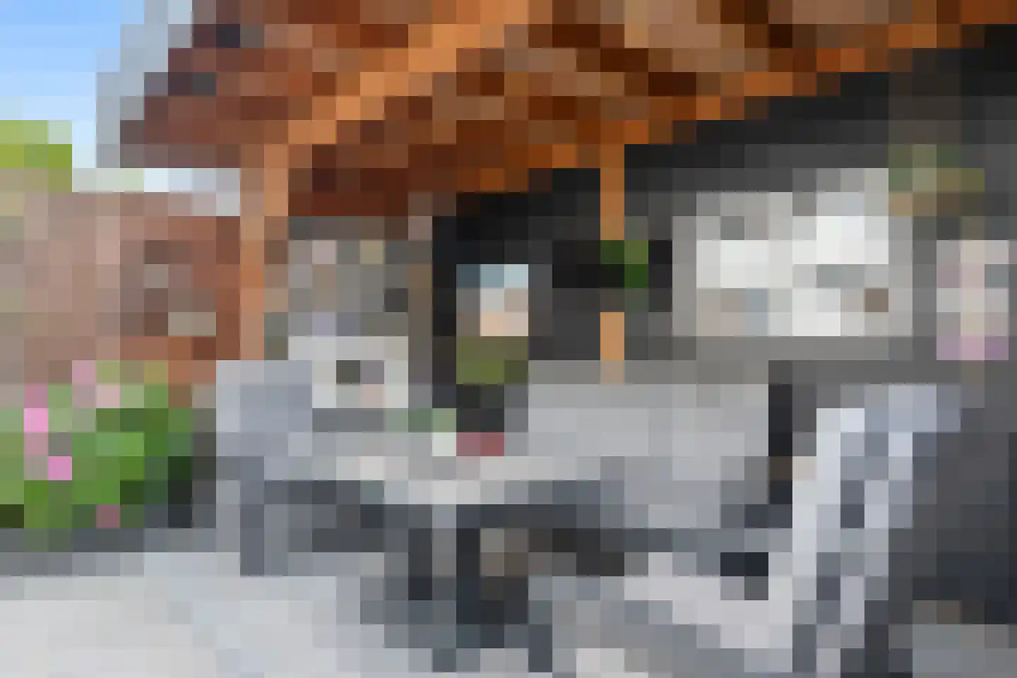 Robert de Vriesstraat 20 Arnhem thumbnail 31