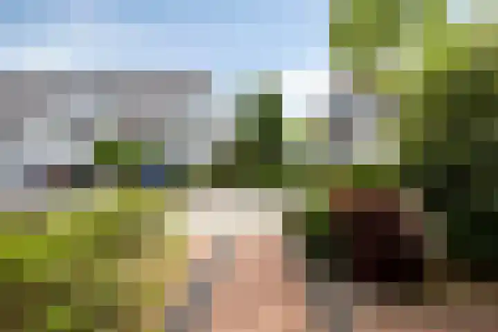 Robert de Vriesstraat 7 Arnhem thumbnail 35