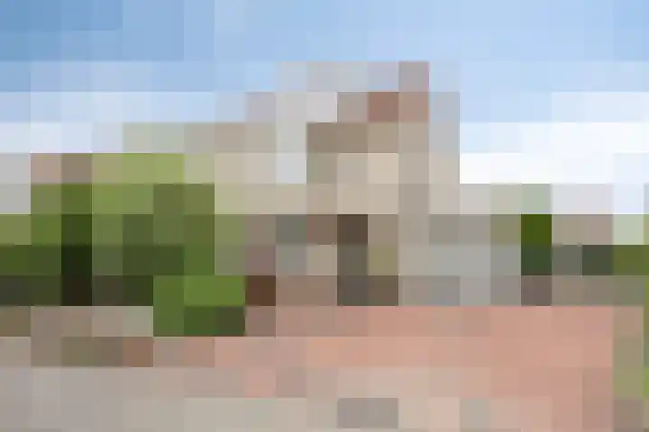 Robert de Vriesstraat 7 Arnhem thumbnail 4