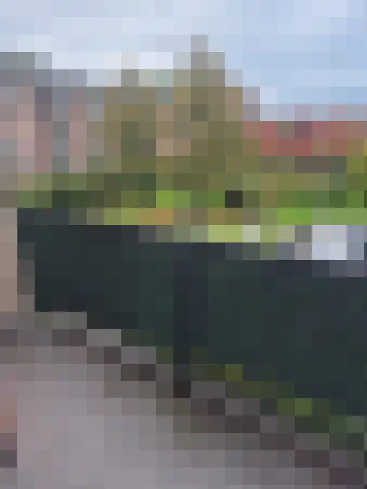 Robert Fruinlaan 7 H Amsterdam thumbnail 9