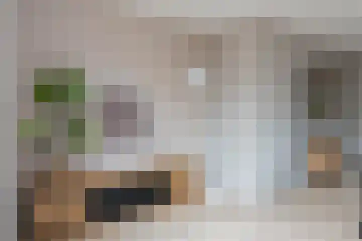 Robert Fruinstraat 1 10 Tilburg thumbnail 11