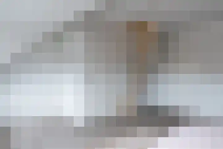 Robert Fruinstraat 1 10 Tilburg thumbnail 28