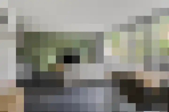 Robert Fruinstraat 14 Tilburg thumbnail 17