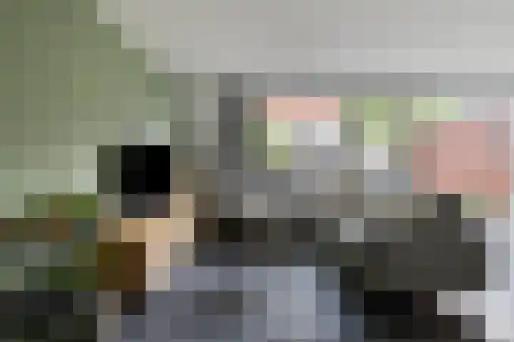 Robert Fruinstraat 14 Tilburg thumbnail 21