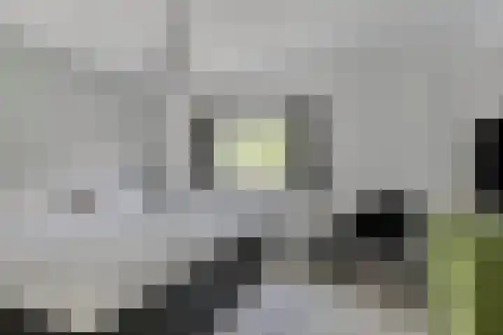 Robert Fruinstraat 14 Tilburg thumbnail 29