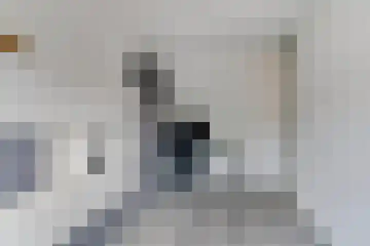 Robert Fruinstraat 14 Tilburg thumbnail 34