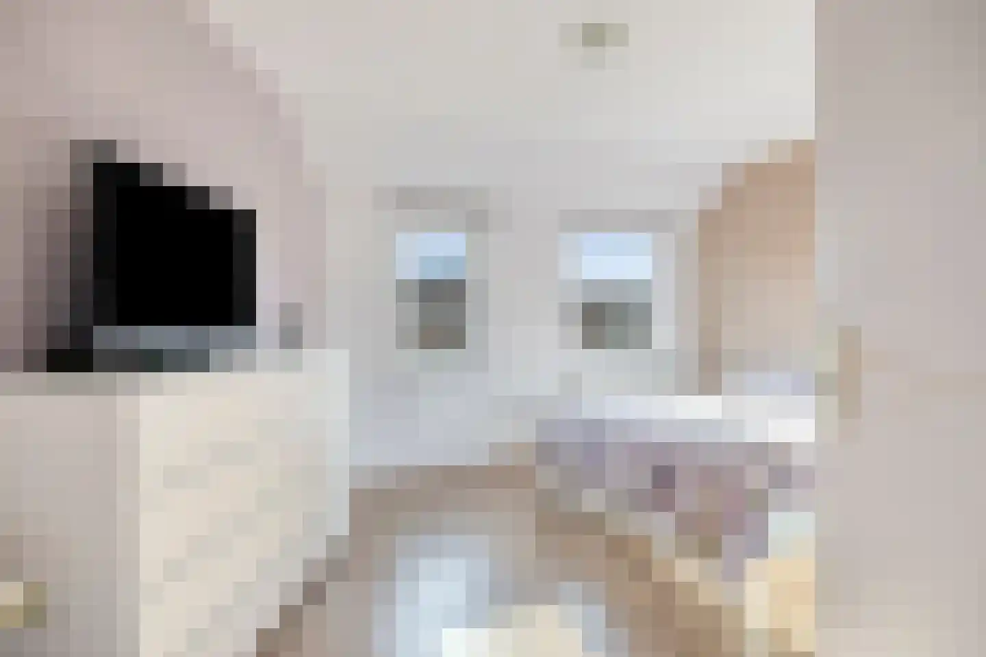 Robert Fruinstraat 23 02 Tilburg thumbnail 25