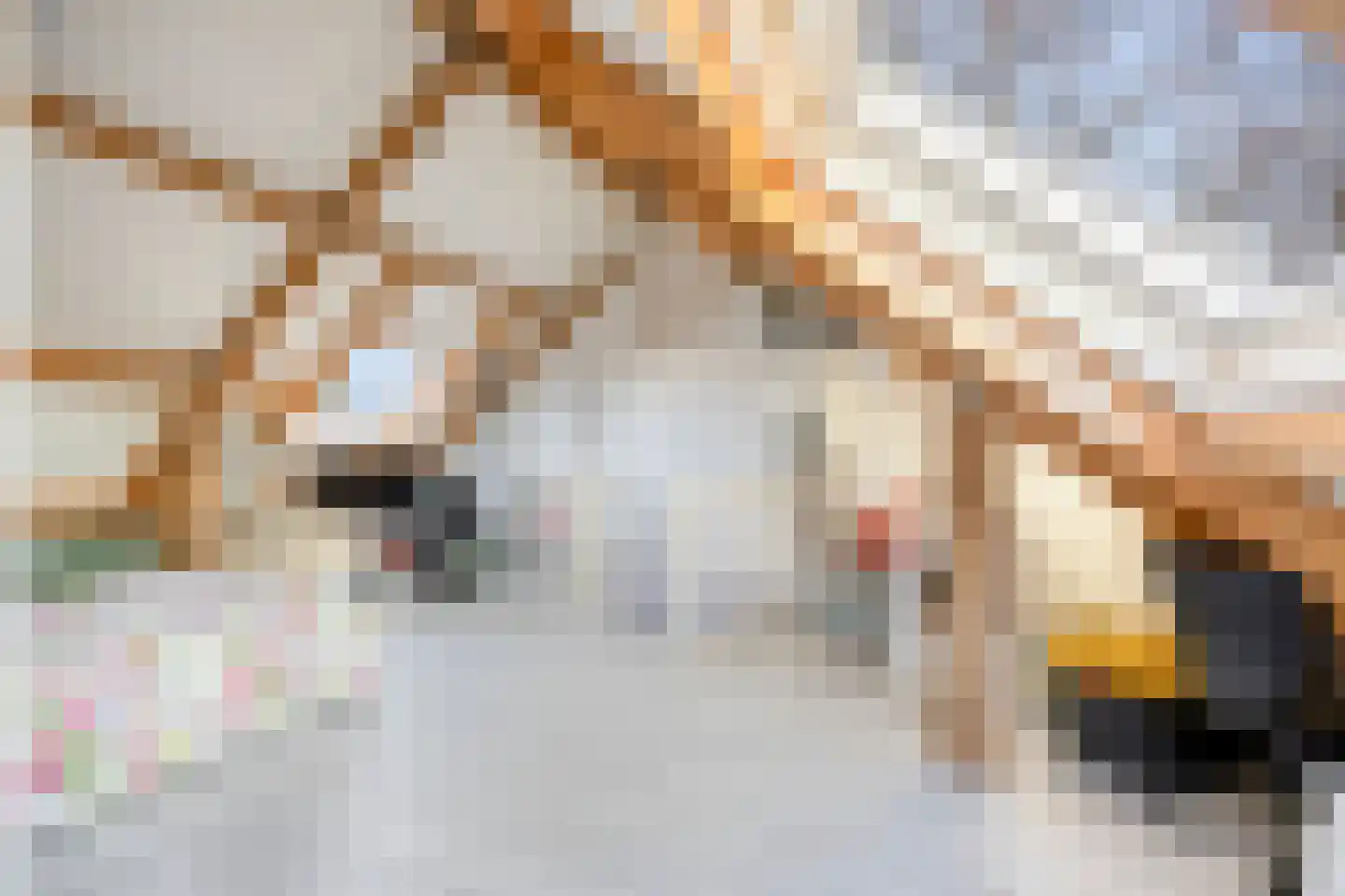Robert Fruinstraat 23 02 Tilburg thumbnail 37