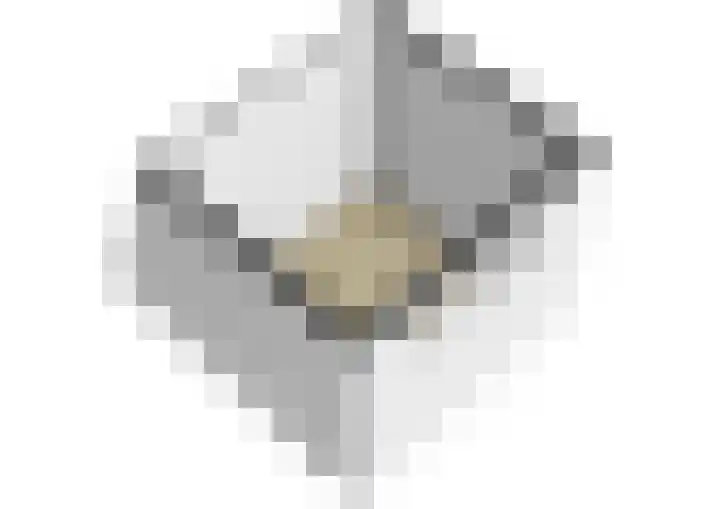 Photo of Robert-Jan t'Sas