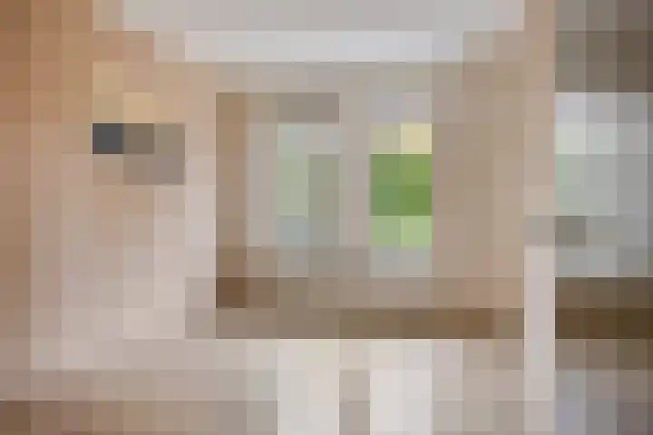 Robert Josephstraat 2 Duiven thumbnail 15