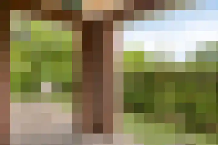 Robert Josephstraat 2 Duiven thumbnail 25