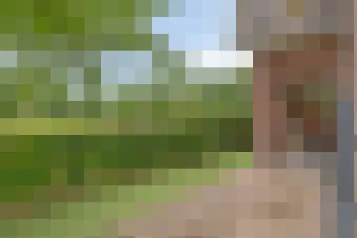 Robert Josephstraat 2 Duiven thumbnail 28