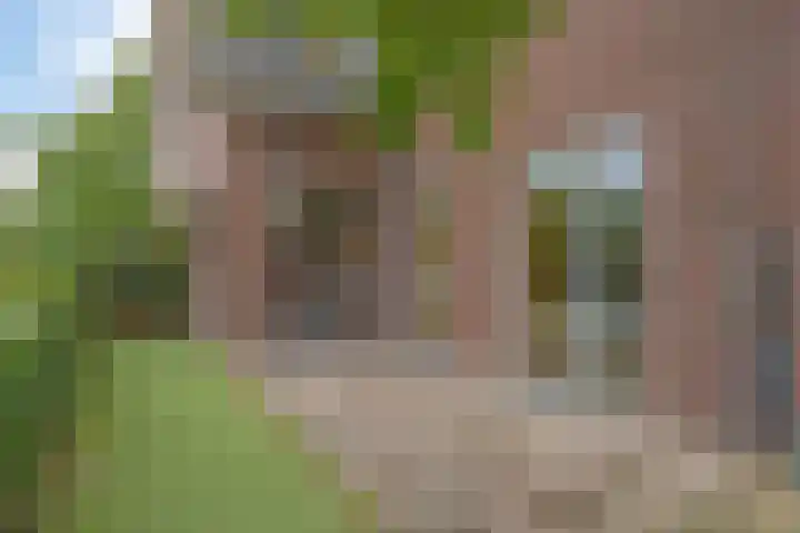 Robert Josephstraat 2 Duiven thumbnail 29