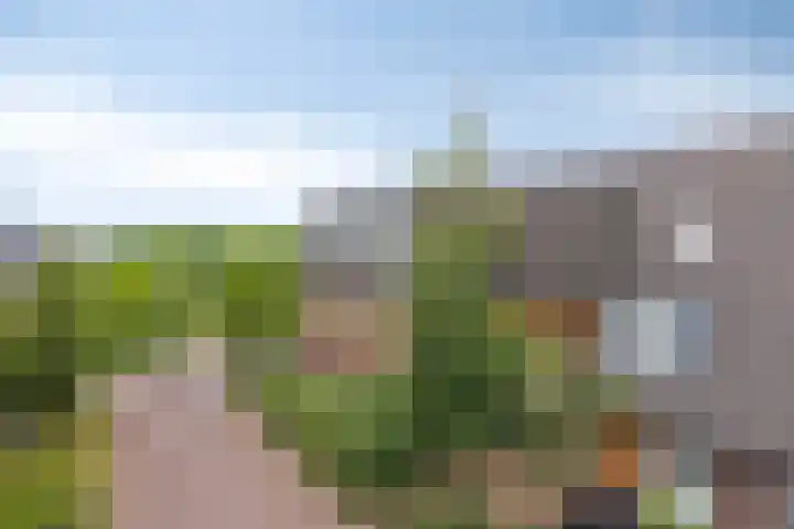 Robert Josephstraat 2 Duiven thumbnail 34