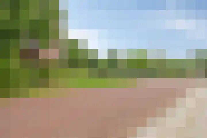Robert Josephstraat 2 Duiven thumbnail 35