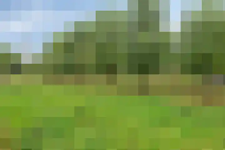 Robert Josephstraat 2 Duiven thumbnail 36