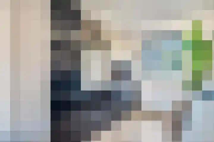 Robert Josephstraat 32 Duiven thumbnail 10