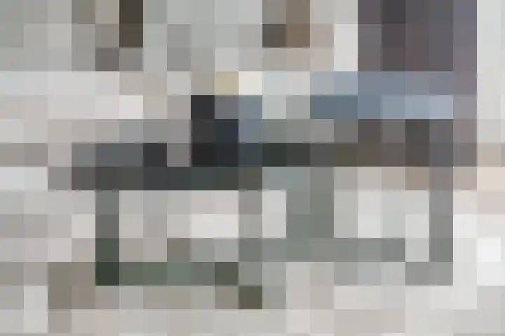 Robert Josephstraat 32 Duiven thumbnail 17